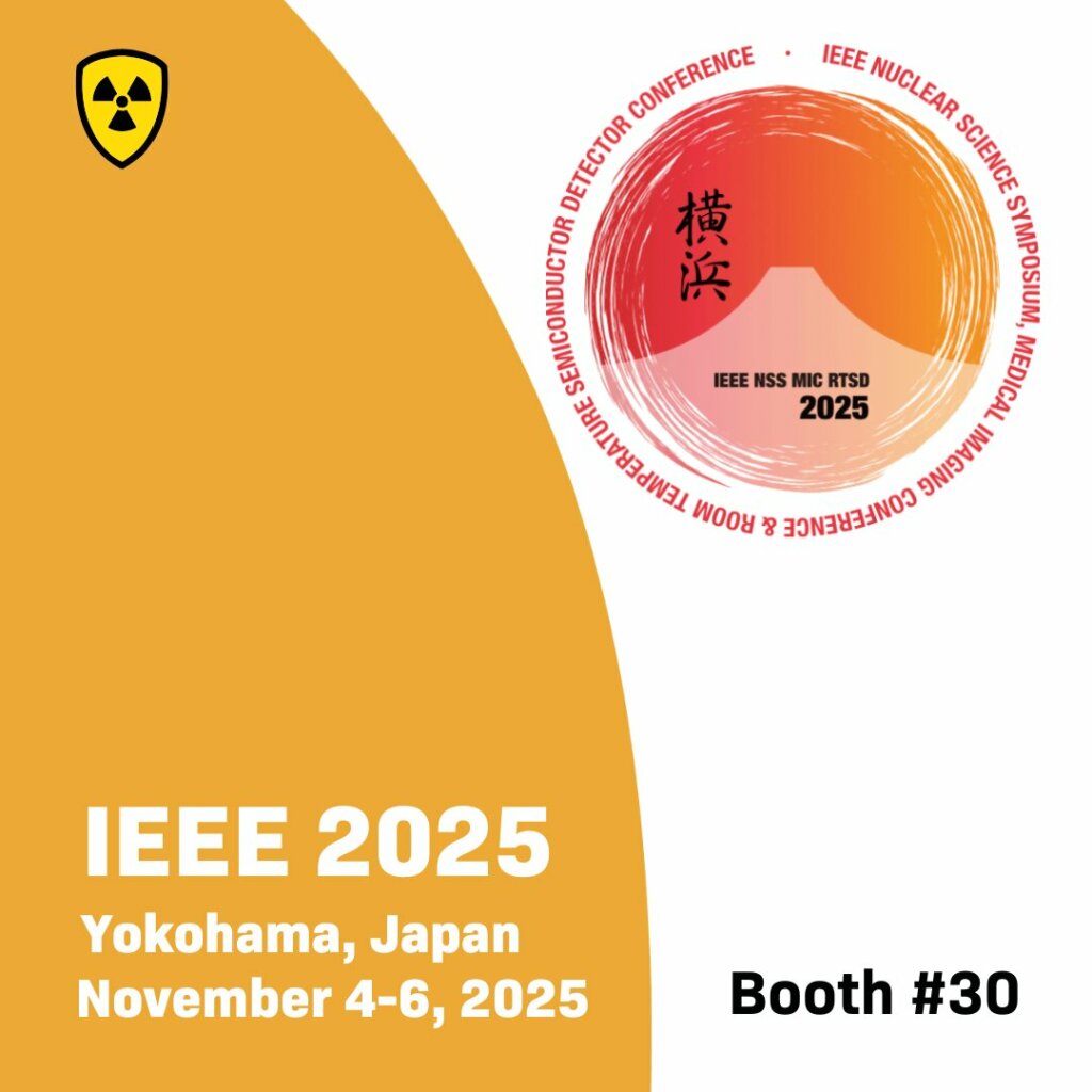 IEEE 2025 conference in Yokohama