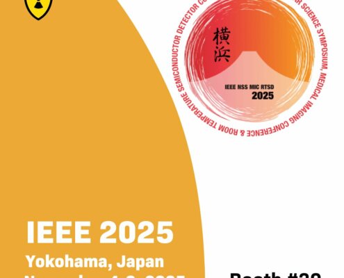 IEEE 2025 conference in Yokohama